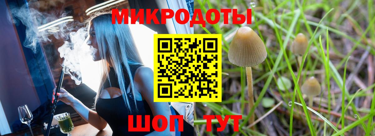 Псилоцибиновые грибы Cubensis Красный Сулин
