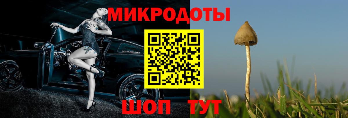 Галлюциногенные грибы MAGIC MUSHROOMS  где найти наркотики  Красный Сулин  Вход с VPN 